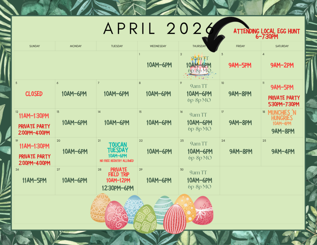 Colorful Cute Doodle Planner 2025 May Monthly Calendar (26)