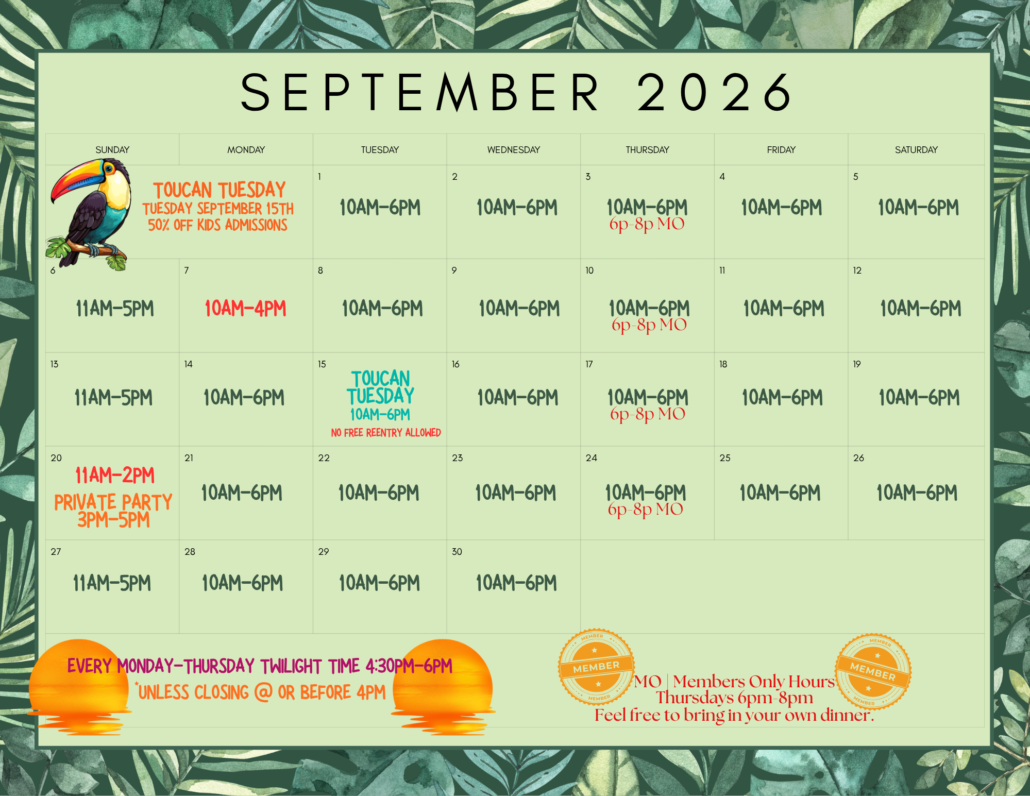 Colorful Cute Doodle Planner 2025 May Monthly Calendar