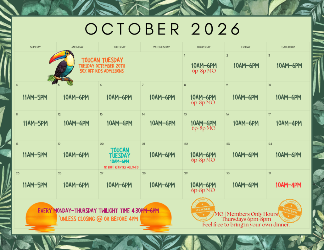 Colorful Cute Doodle Planner 2025 May Monthly Calendar